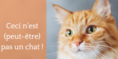 Ceci n'est pas un chat