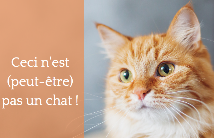 Ceci n'est pas un chat